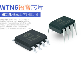 语音IC可满足消费者的哪些需求？